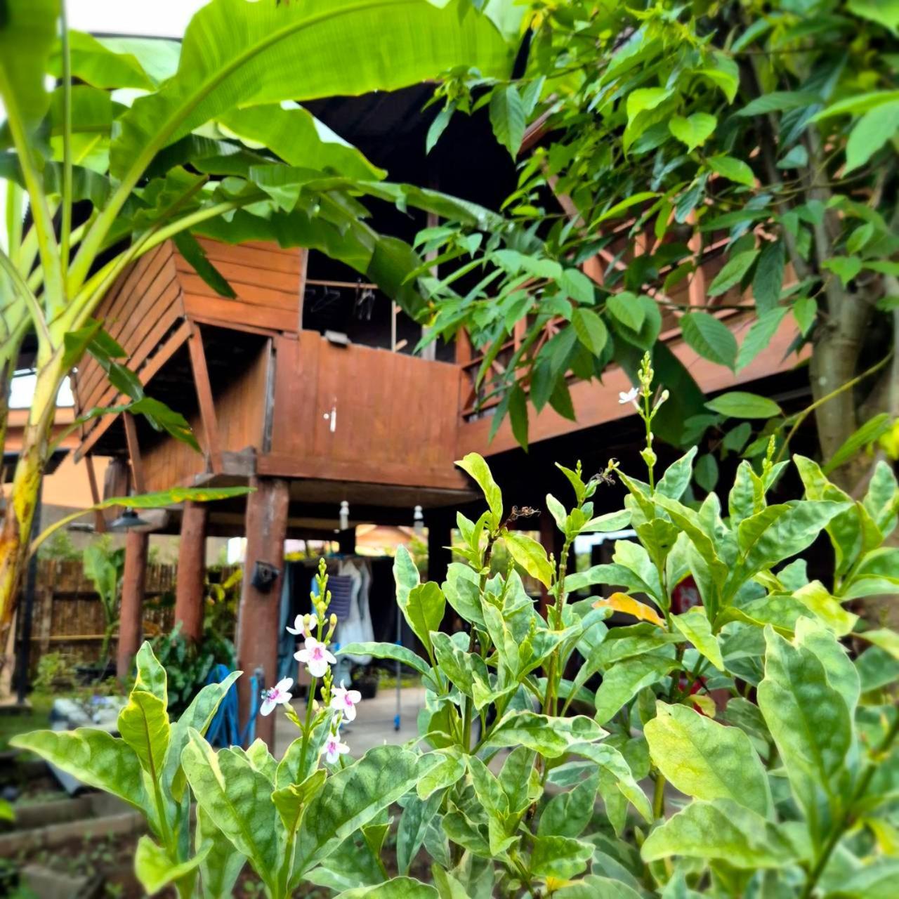 Kedthawa Homestay เฮือนเก็ดถะหวา Ban Cho Lae 외부 사진