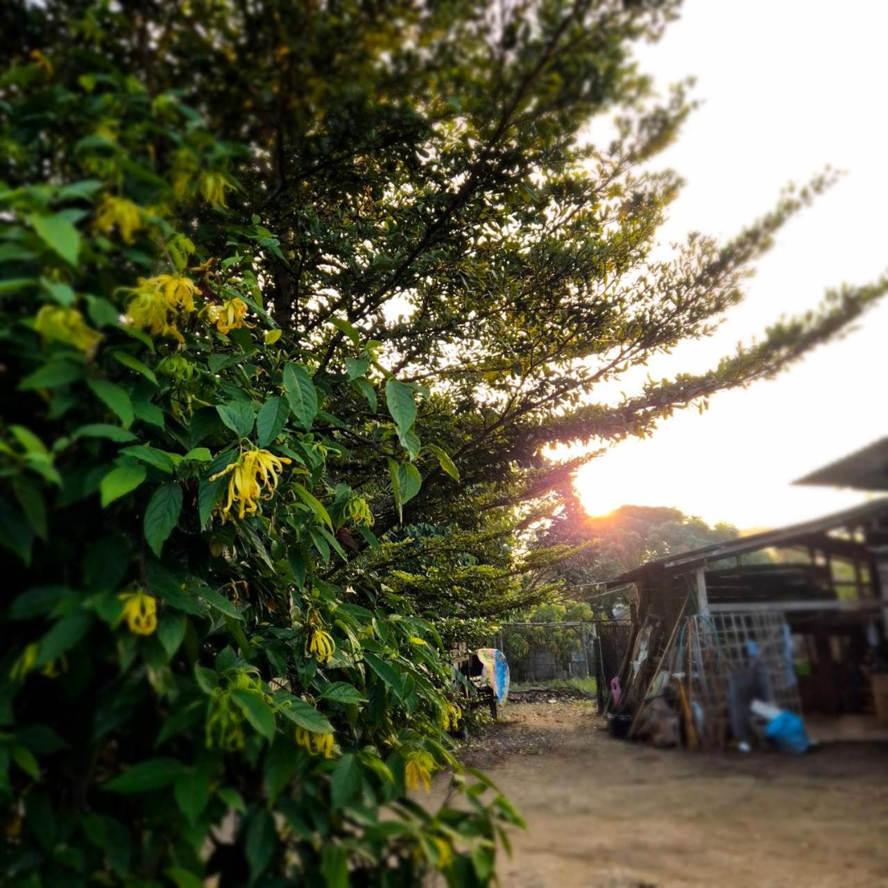 Kedthawa Homestay เฮือนเก็ดถะหวา Ban Cho Lae 외부 사진